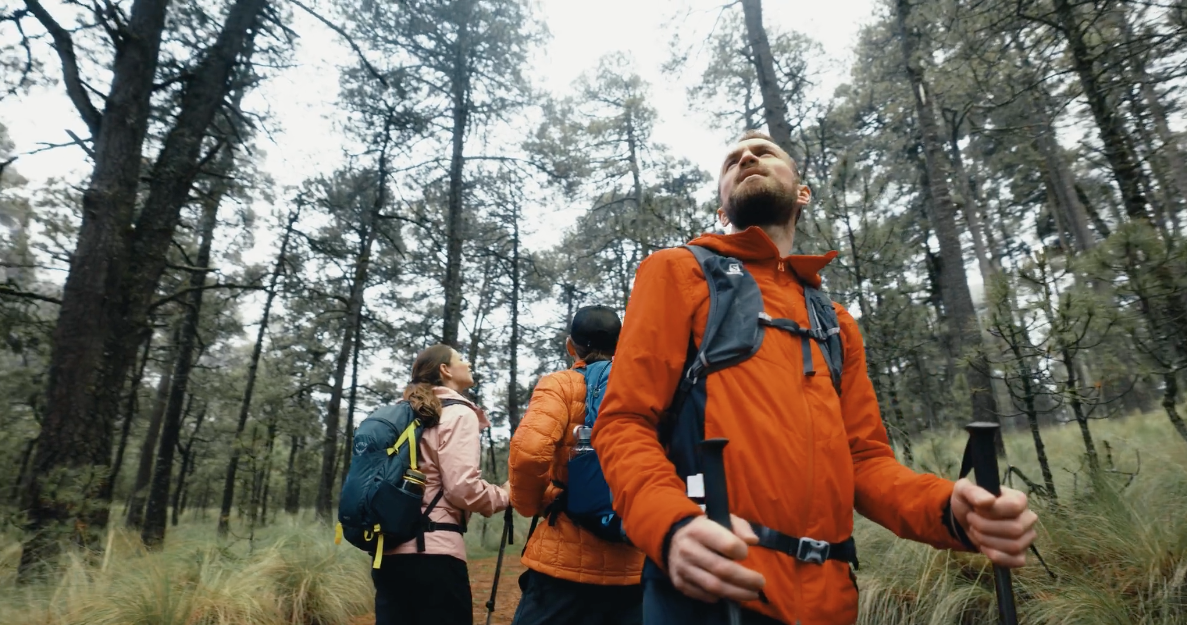 three people in the middle of the forest hiking