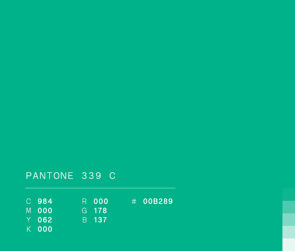 Pantone 339 C #00B289 used in Anónima