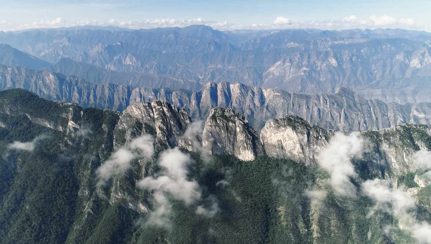 Chipinque video conservación