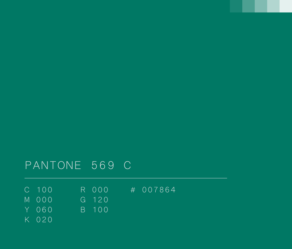 Pantone 569 C #007864 used in Netflix