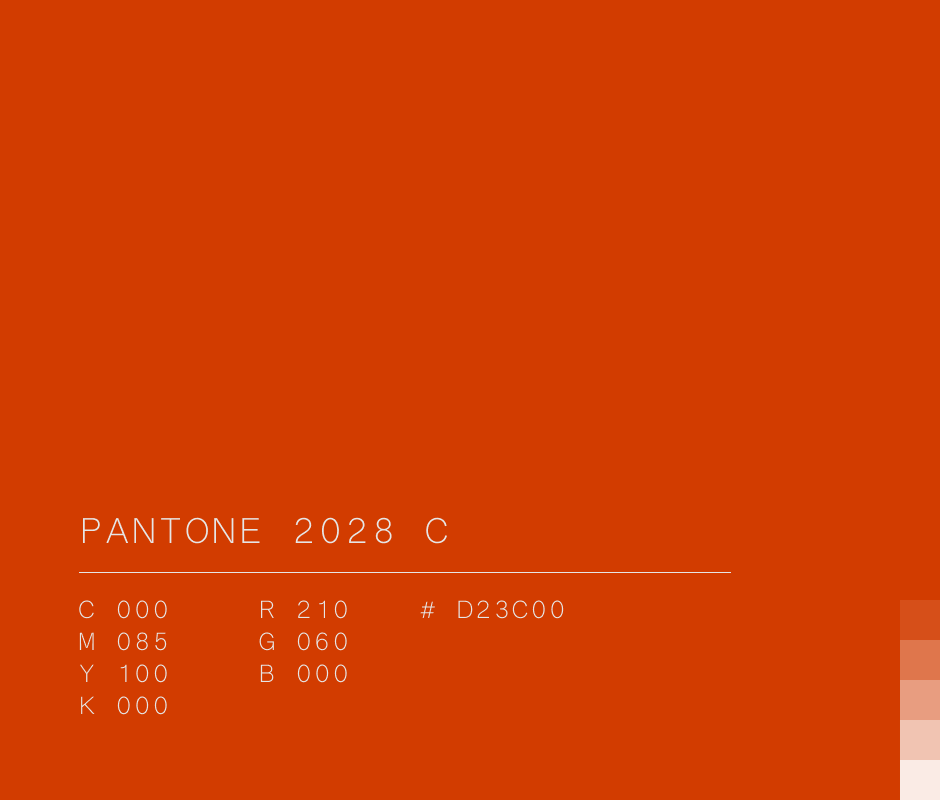 Pantone 2028 C #d23c00 used in Netflix
