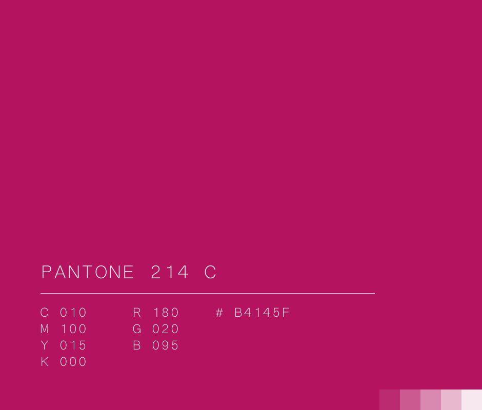 Pantone 214 C #b4145F used in Netflix