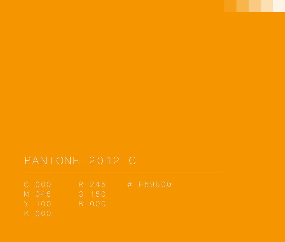 Pantone 2012 C #F59600 used in Netflix
